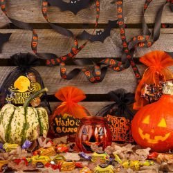Halloween organza poser 12 x 15 cm - mix af mønstre og farver Halloween