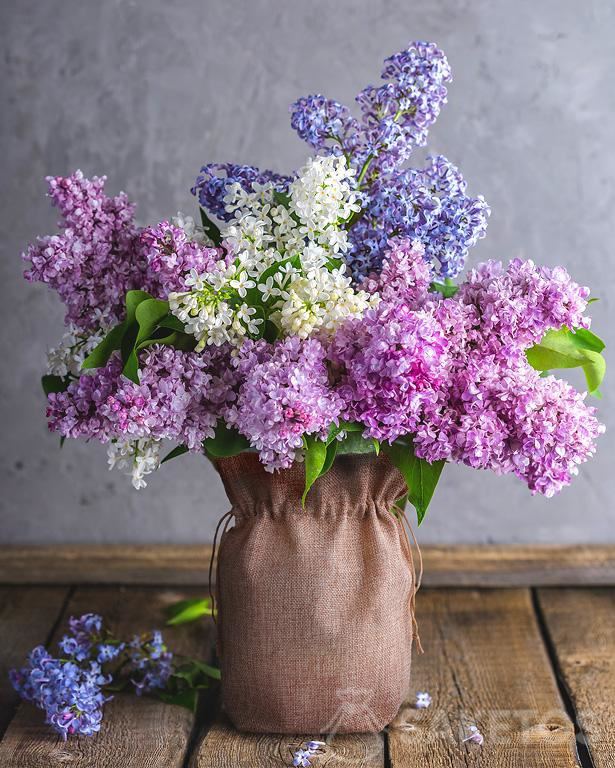 Jutepose som vasebetræk med lilla blomster