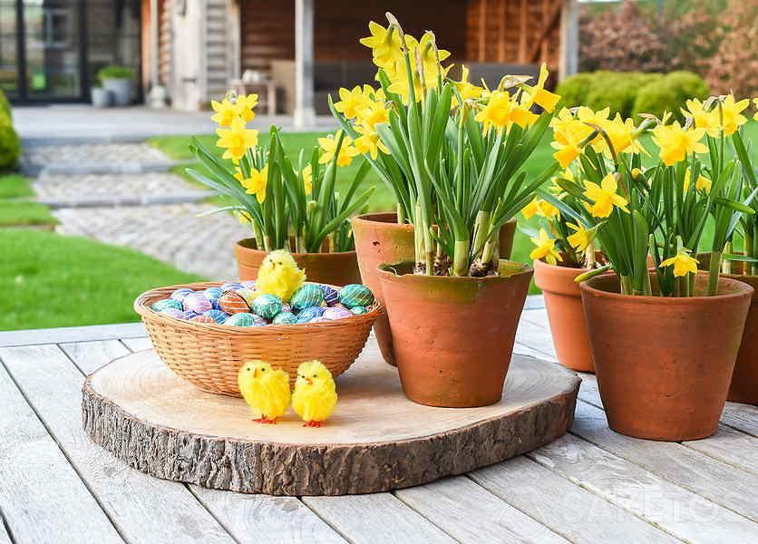 Forårsblomster foran huset