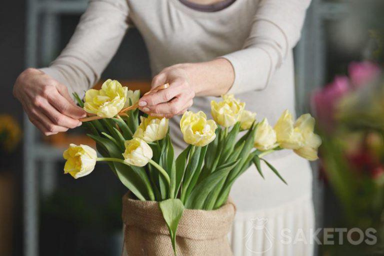 En buket tulipaner i en sækkepose