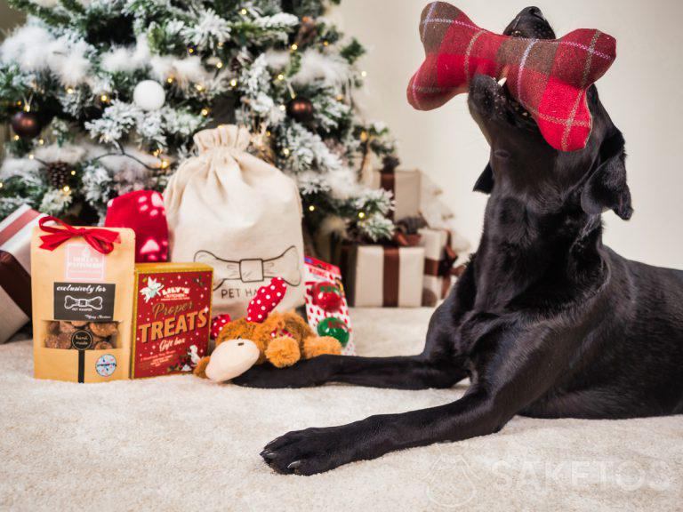 gaveemballage til hunde og katte