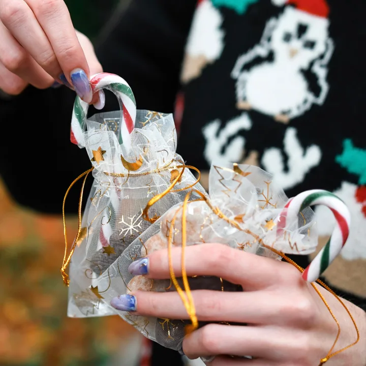 Julegaveposer - unikke stofposer til dine gaver 105 Organzaposer